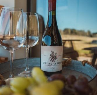 Balcarce Apartamento | Bodegas y Viñedos Balcarce