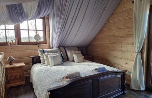 gmina Bedzino Casa | Bodychówka
