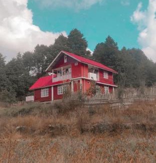 Itanagar Apartamento | Bohang cottage