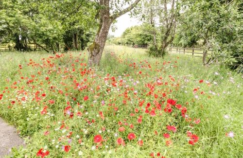 County Mayo Casa | Bohans Barn