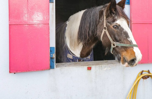 County Mayo Otro | BOHANS BARN, pet friendly, with open fire in Crossmolina, County Mayo