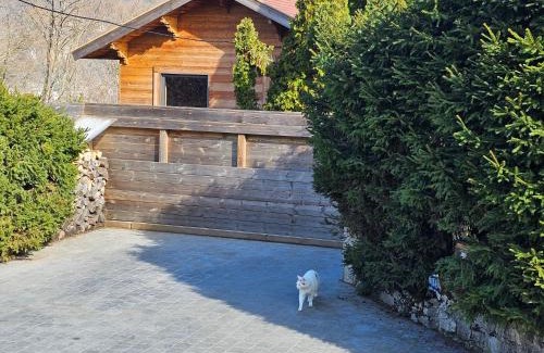 Annecy Chalet De Esquí | Bois des Alpes