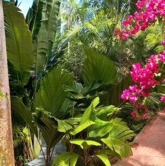 Mahe Island Villa | Bois Joli