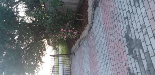 Brookmerland Casa | Boje 34