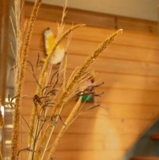Bombah Point Casa | Bombah Point Eco Cottages
