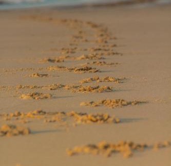 Saint Francis Bay Casa | BonBini Guest House