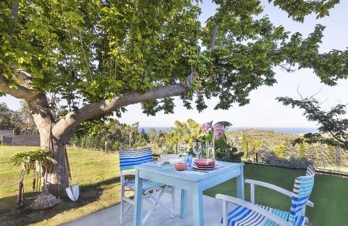 Vasto Cama Y Desayuno | Bontempo Suite