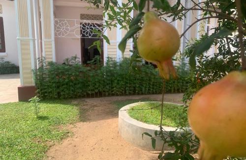 Arunagiri Nagar Casa | BonVoyaageVilla