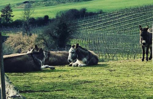 Olgiata Cama Y Desayuno | Borgo del Gelso