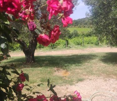Montalcino Casa | Borgo Villa a Tolli