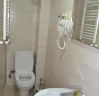 Likani Hotel | Borjomi Villa Roma