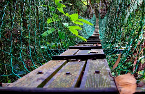 Miri Hotel | Borneo Tropical Rainforest Resort