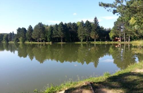 Koszeg Apartamento | Borostyán Vendégház