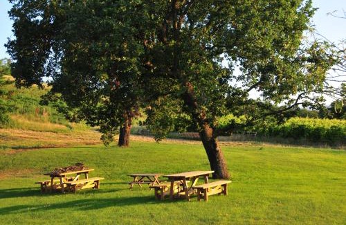 Gazzola Casa | Bosco dei Poveri