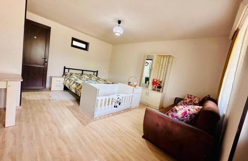 Didi Ateni Apartamento | Boshuri Apartments