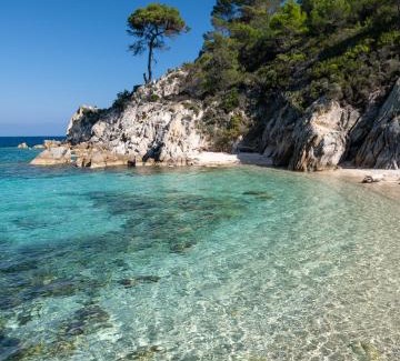 Sarti Apartamento | Bosporus Apartments
