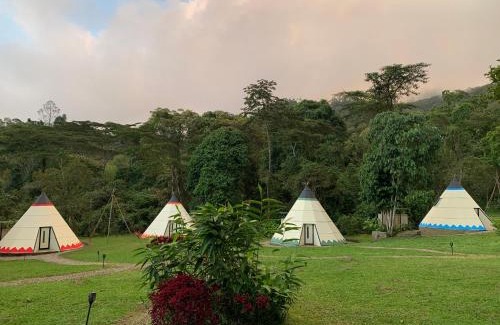 Tena Otro | Bosque de Aventura & Glamping El Faro