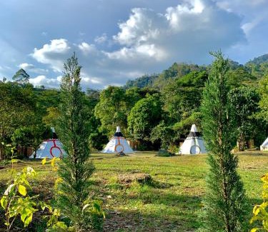 Tena Otro | Bosque de Aventura & Glamping El Faro