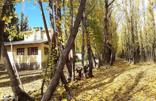Malargue Apartamento | Bosque de Sol cabaña 4