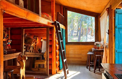 Huasca de Ocampo Cabina | "Bosque Érase Una Vez" Cabañas mágicas y únicas en el bosque (PET FRIENDLY)