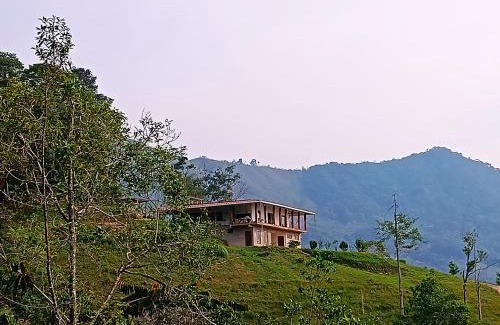 San Carlos Casa | Bosque Místico