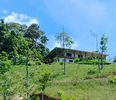 San Carlos Casa | Bosque Místico