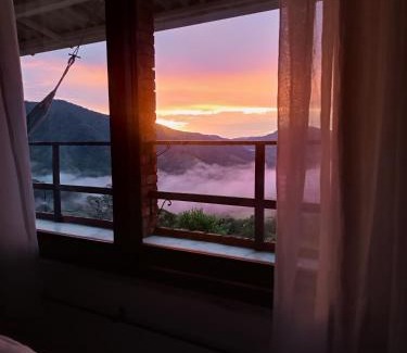 San Carlos Casa | Bosque Místico
