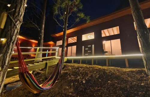Pichilemu Casa | Bosque marino