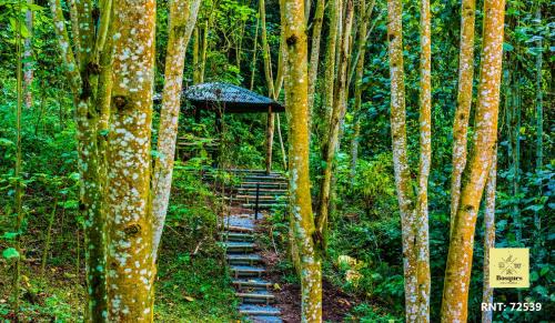 Manizales Hotel | Bosques de la Pradera