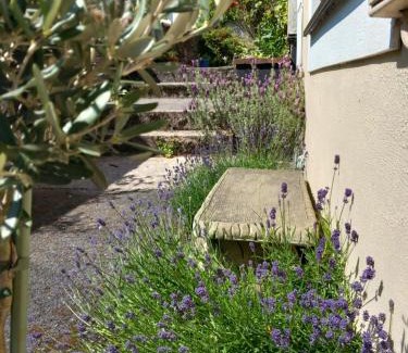 Buckfastleigh Casa | Bossell Cottage Devon