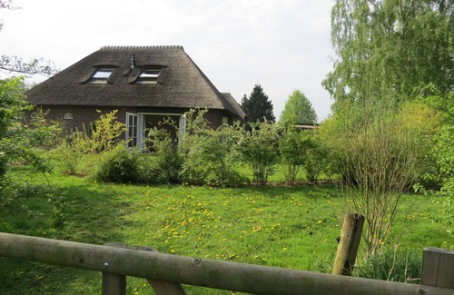 Epe Cabaña | Bosuyl, Landelijk Gelegen Huisje Nabij Veluwe