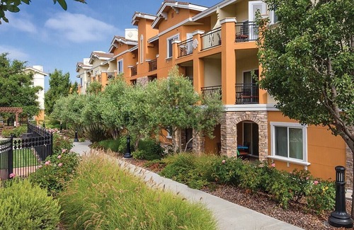 Napa Condominio | Bottlerock!