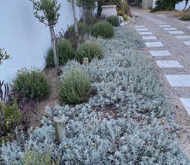 Paternoster Casa | Bougain Villa Studio 2