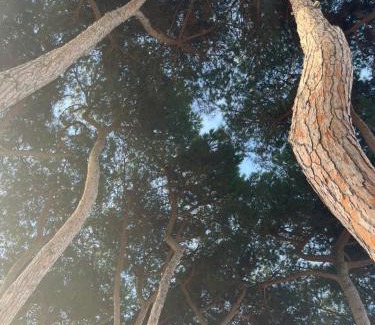 Pineto Apartamento | BOUGANVILLE casa vacanza ambiente climatizzato con wi fi