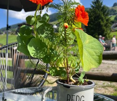 Saalbach-Hinterglemm Apartamento | Boutique Apartment BERGLIEBE, ski in-out