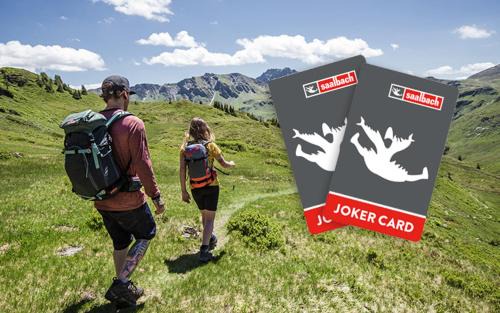 Saalbach-Hinterglemm Apartamento | Boutique Apartment BERGLIEBE, ski in-out