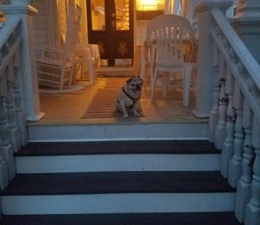 North End Casa | Boutique Dog Friendly Hotel Ocean City Mansion