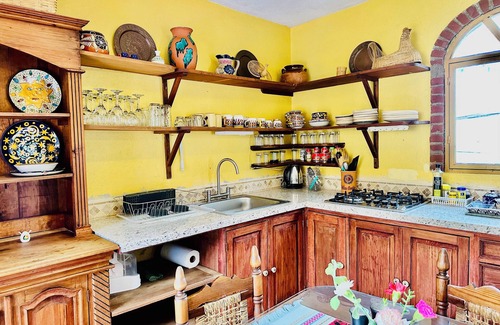 Colonia San Antonio Cama Y Desayuno | Boutique Hotel Casa Camellia