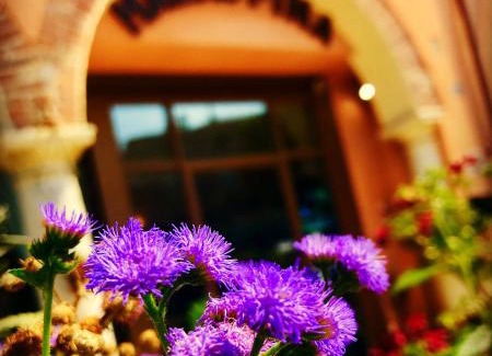 Sandra Hotel | Boutique Hotel Corte Malaspina