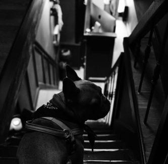 Centrum Hotel | Boutique Hotel & Restaurant Frenchie