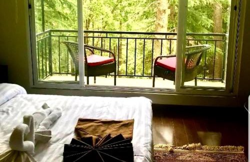 Khanspur Hotel | Boutiqueinn Ayubia