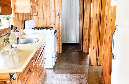 Sioux Narrows Nestor Falls Cabina | Bowerbird Beach Camp Cabin #3