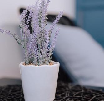 Madona Casa | Brīvdienu māja Sniegi