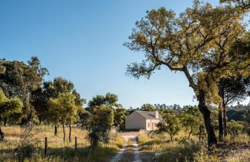 Erra Casa | Braciosa