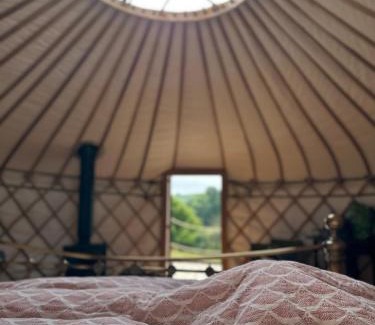 Bridport Otro | Bracken Yurt at Walnut Farm Glamping