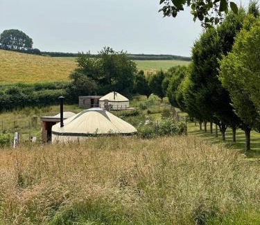 Bridport Otro | Bracken Yurt at Walnut Farm Glamping