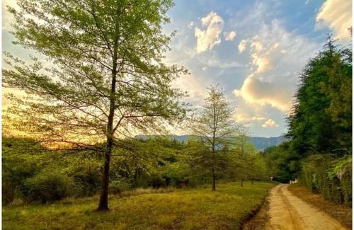 Elandskop Apartamento | Brackenburn Trout and Trail Retreat