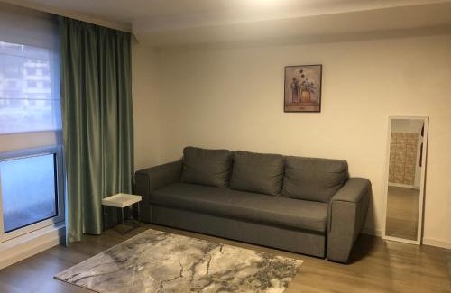 Sangeorz-Bai Casa | Bradul