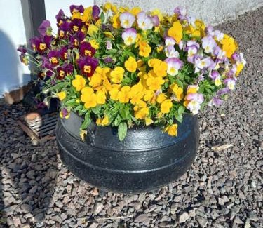 Cookstown Casa | Bramble Cottage