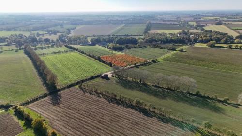 Woodbridge Otro | 'Bramley' Hut on private farm